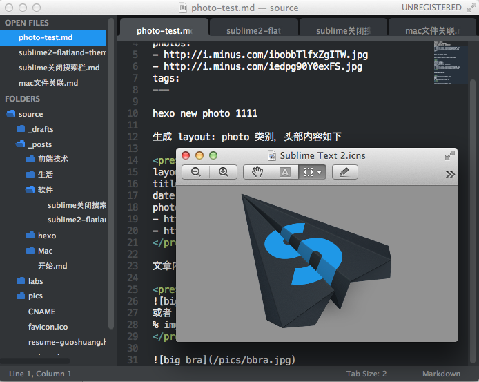 flatland for sublime theme